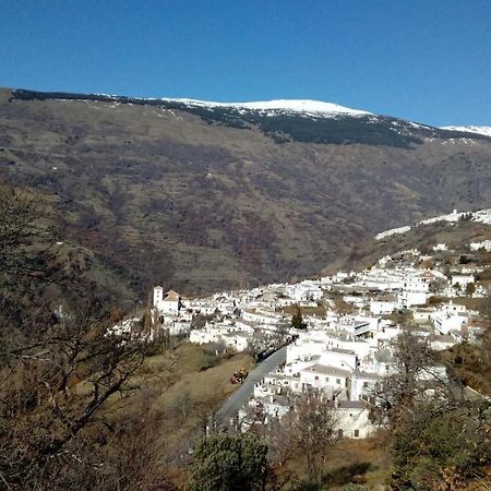 부비온 Casa El Rincon Del Angel 빌라 외부 사진
