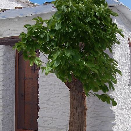 부비온 Casa El Rincon Del Angel 빌라 객실 사진