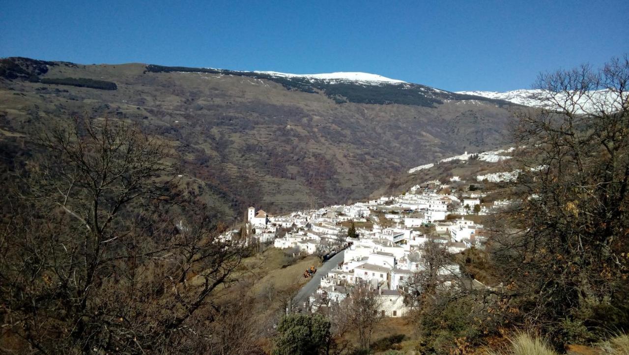 부비온 Casa El Rincon Del Angel 빌라 외부 사진